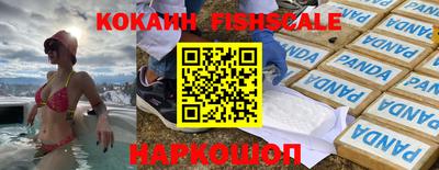 дмт Камышлов