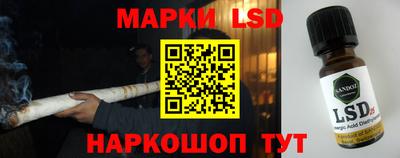 ПСИЛОЦИБИНОВЫЕ ГРИБЫ Кандалакша