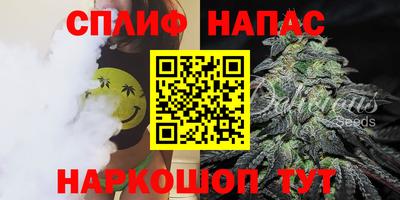 дмт Камышлов